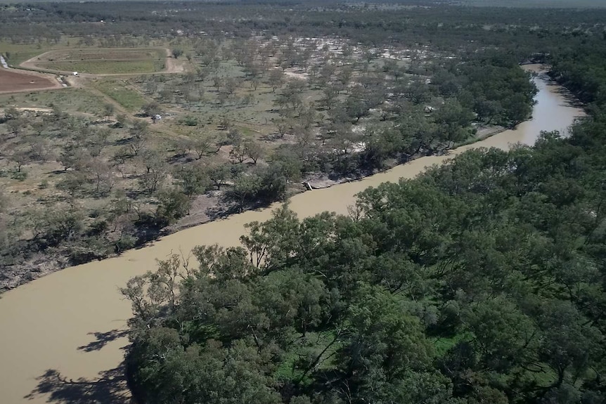 A bend on the Darling River near Brewarrina with farmland in the background