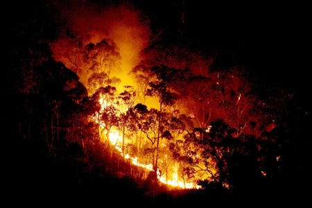 Victoria: The fire is now close to 800,000 hectares in size (file photo).