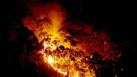 Homes have been lost in Toombullup as a bushfire rages through north-east Victoria. (File photo)