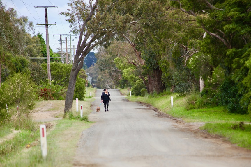 A woman walks her dog down an empty road bordered by bushland and scrub and power lines.
