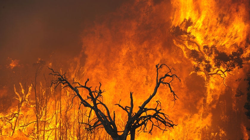 Bushfire warnings will be a particular focus of the Royal Commission.
