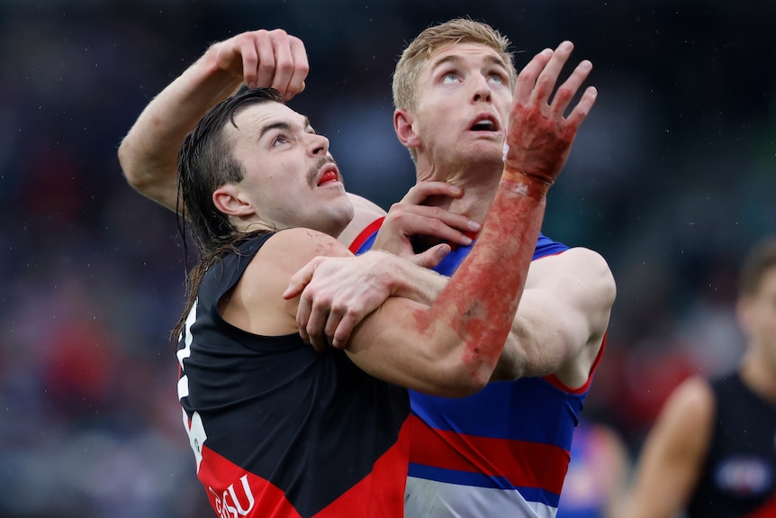 An Essendon AFL player pushes against a Western Bulldogs opponent as they look to the sky for the ball.
