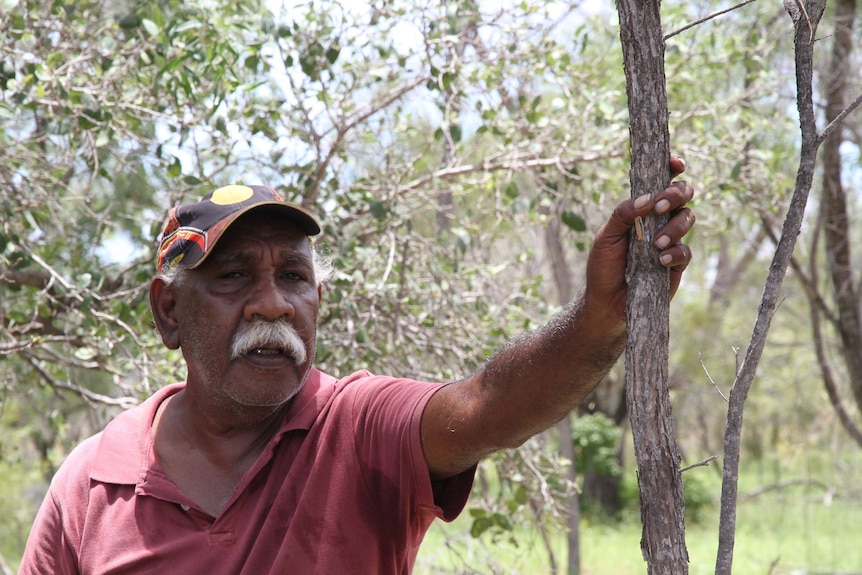 A man in a purple t-shirt with his hand on a tree