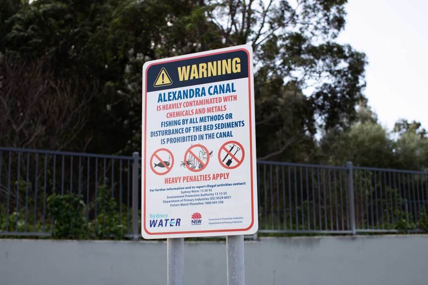 A sign warning about contaminated water in Alexandra Canal