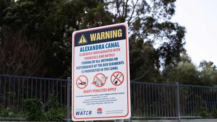 A sign warning about contaminated water in Alexandra Canal