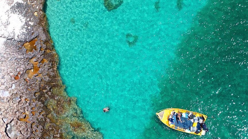 Aerial view of tinny and man swimming in turquoise water