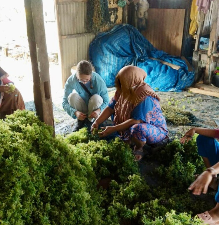Two women bend down and look through harvested seaweed. 