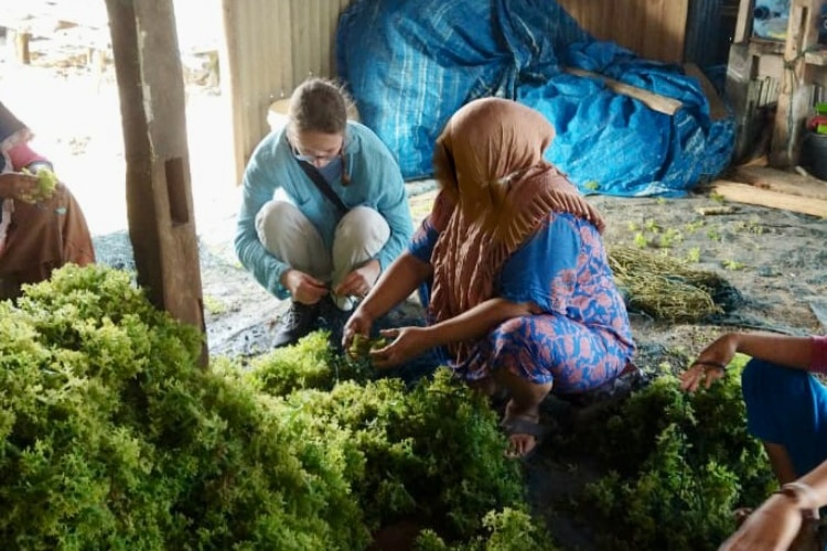 Two women bend down and look through harvested seaweed. 