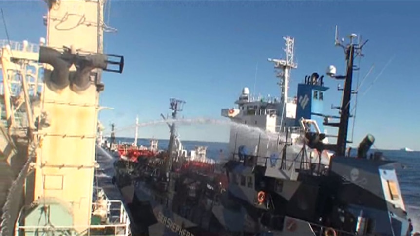 ICR footage of Sea Shepherd 'ramming' their vessel