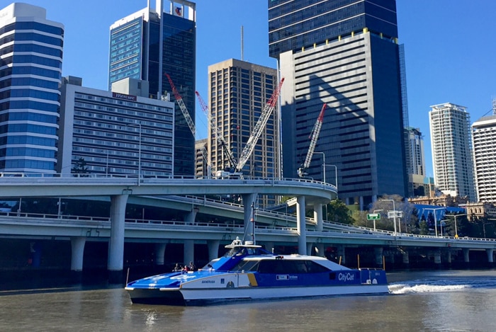 CityCats weave up and down the Brisbane River linking the federal seats of Ryan, Griffith and Brisbane.