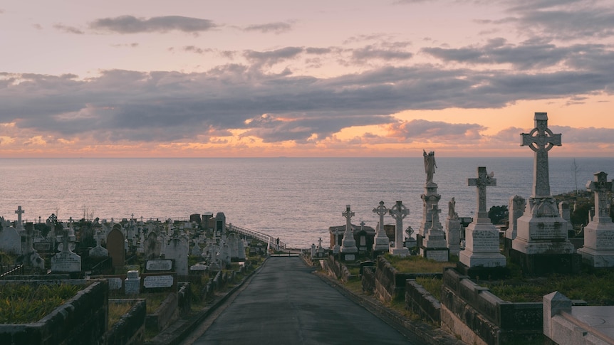 A road cuts through a cemetery with pink and grey coloured skies over the ocean in the distance. 