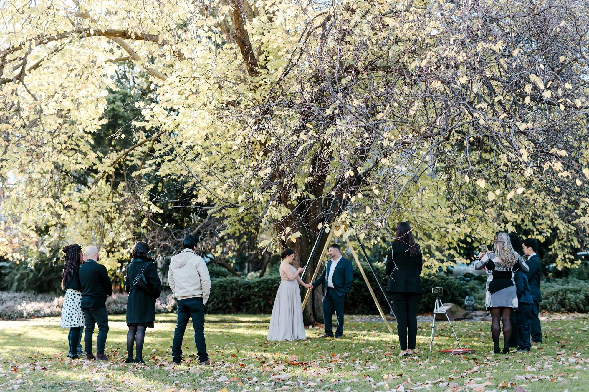 Four Weddings And A Pandemic Coronavirus Has Reshaped Tying The Knot And The Nerves That Go Along With It Abc News