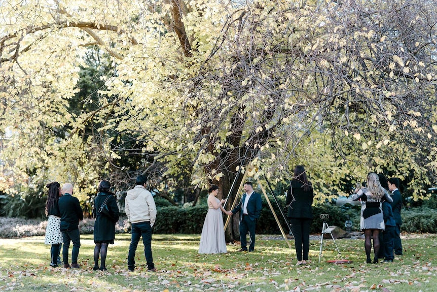 A woman in a pale grey dress and a man in a suit stand togetherunder a tree with a group of people spread around them