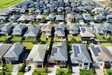 Bird's eye view of rows of newly built houses with green lawns and solar panels on roofs.