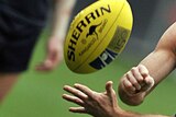 AFL Tasmania bosses say the inquiry has been politicised.