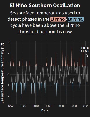 A line chart showing sea surface temperature anomalies in the Pacific since 1900. Any value more than 0.8 indicates El Niño