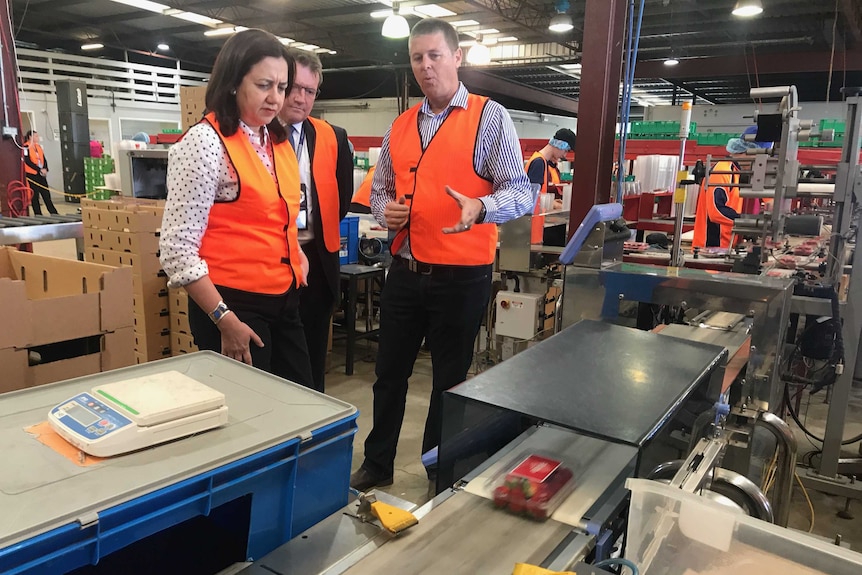 Two men and a woman in hi-vis vests looking at machinery in a warehouse.