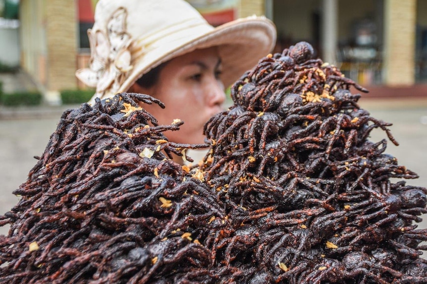 A woman's face through piles of fried tarantula