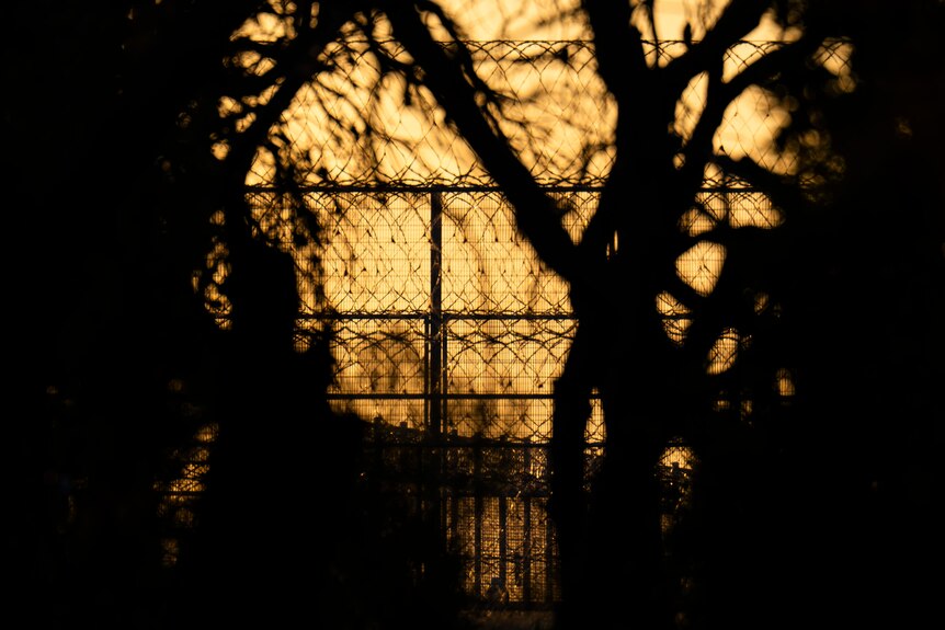 A barbed wire fence pictured through trees against an orange sky