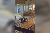 Several police officers wrestle with a boy, aged 16.