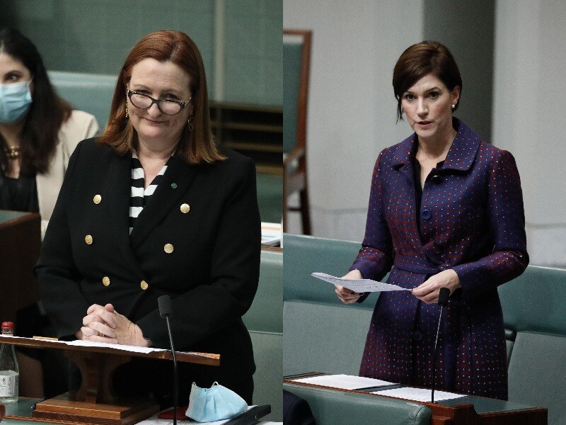 Dos mujeres de pie en el parlamento una al lado de una imagen compuesta