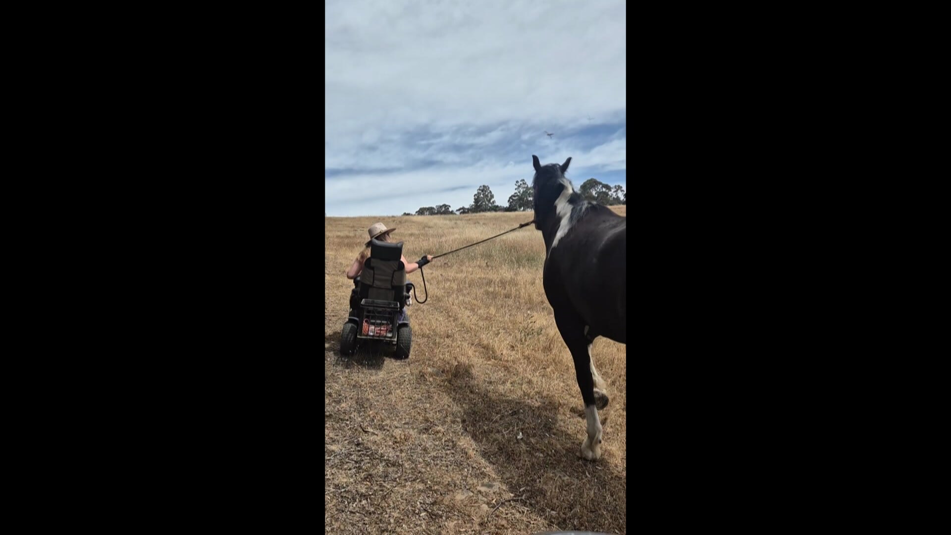 NOLb_LeonieHorse_2410