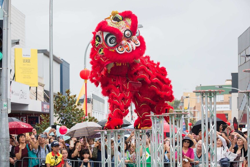 A dancing dragon at the Georges River Council Lunar New Year celebration