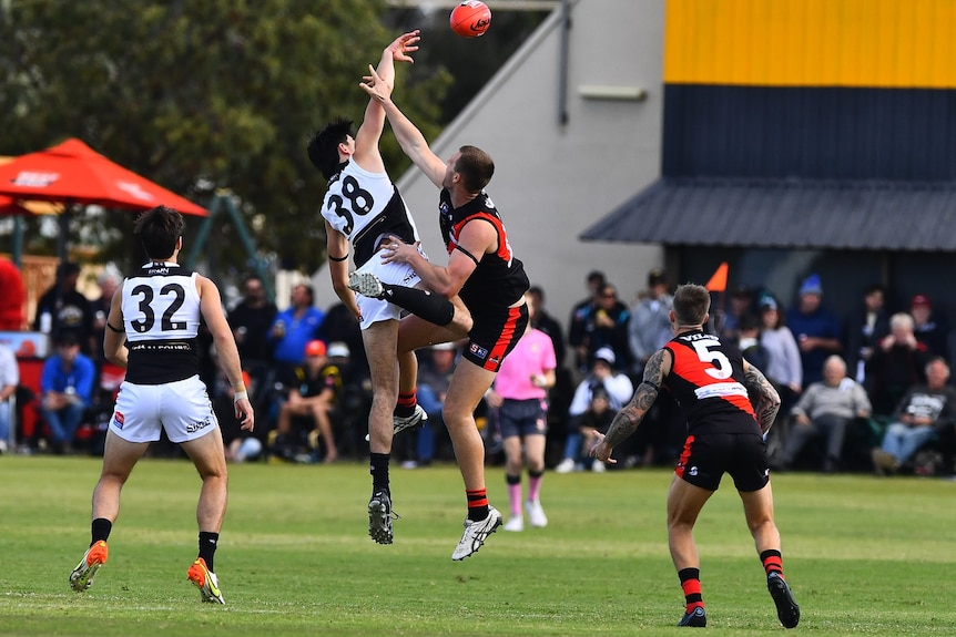 Footballers reach for the footy on a green grass oval, spectators in the background