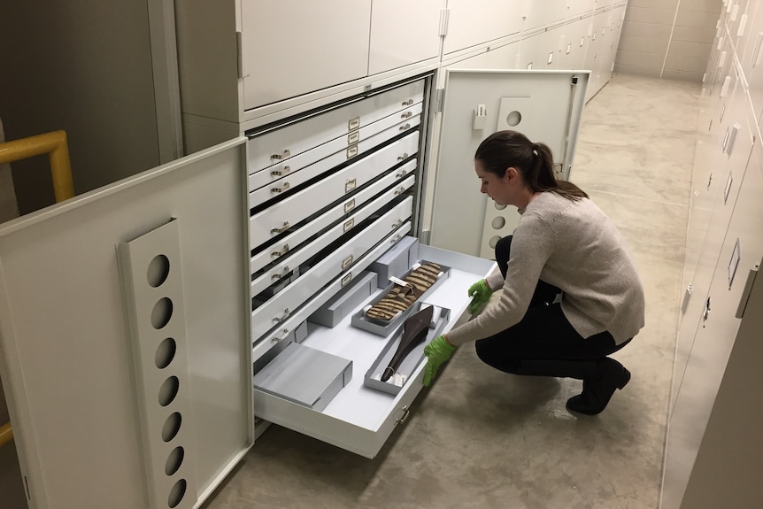 A woman crouching in front of an archival drawer containing two indigenous artefacts.