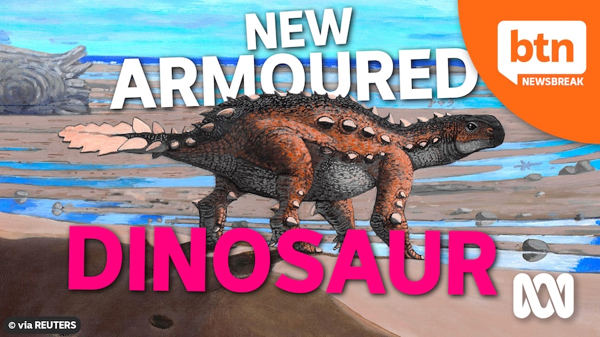 dinosaur king pawpawsaurus card