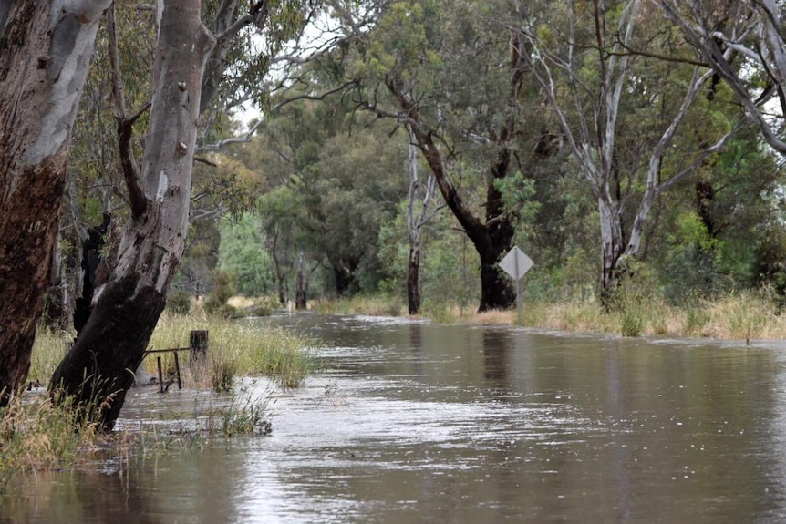 Streets surrounding Euroa are waterlogged