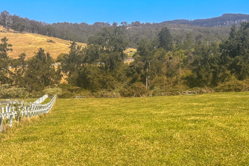 Green paddock with tree line showing where river runs with road in background