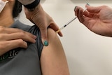 Vaccination being given in arm with needle.