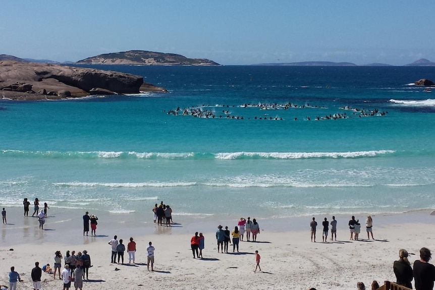 100 metres from the shore, a large group of surfers have formed a circle