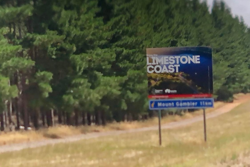 A sign reading 'limestone Coast" with pine trees behind