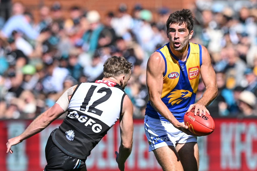West Coast Eagles player Andrew Gaff looks to kick the ball during a game against Port Adelaide. 