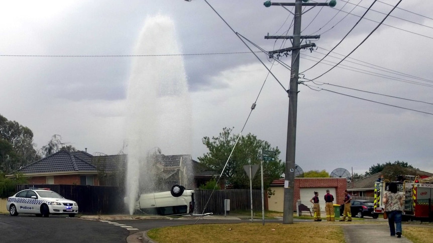 Water sprays skywards after a car hit a hydrant in the Melbourne suburb of Reservoir.