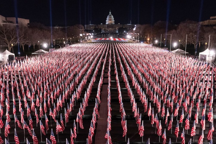 A row of flags in the National Mall in Washington DC at night