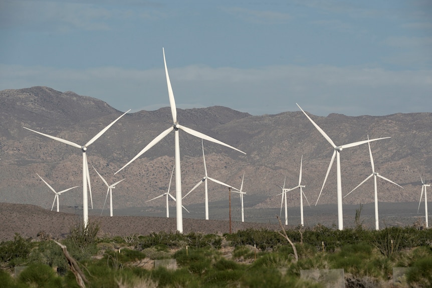 Wind turbines in a desert