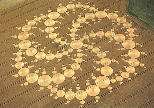 Recurrent Mystery Crop Circle Formations In Top End Northern   96ec34417a70c58a536f814f2726a06b