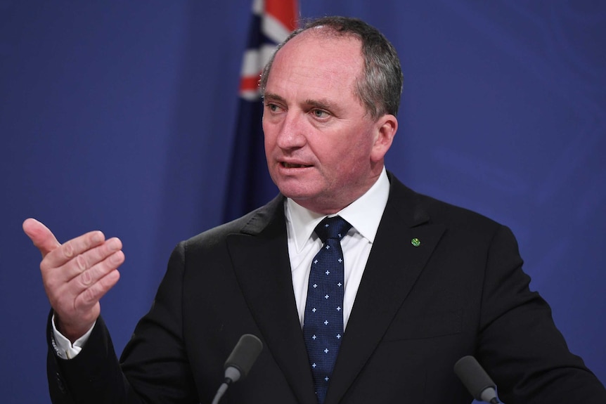 Barnaby Joyce gives a press conference in front of an Australian flag.