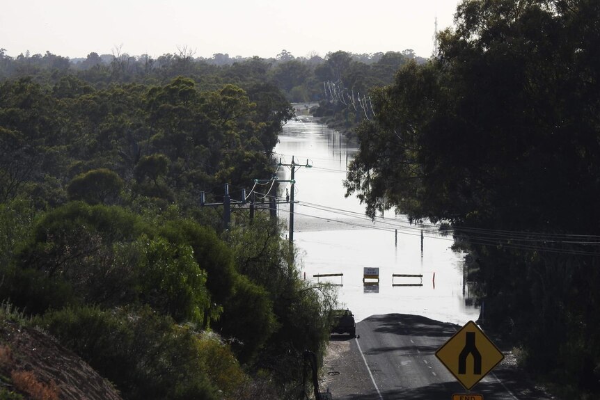 Flooded road with road closed signs between riverside trees