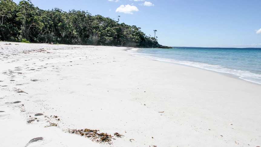 A beach with white sand and trees in the background.