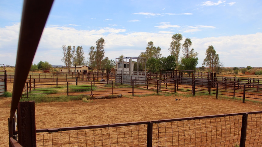 Henbury Station cattle yards