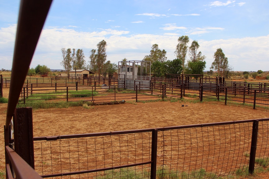 Henbury Station cattle yards