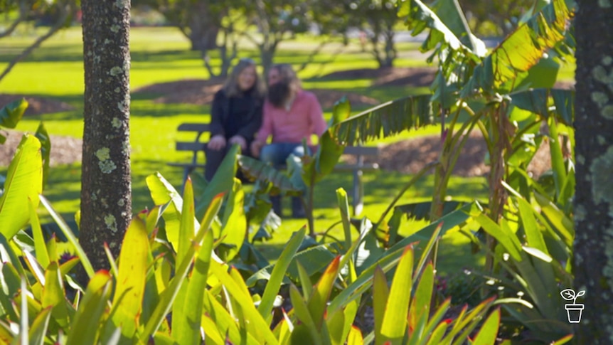 Man and woman in the distance sitting on bench in a park