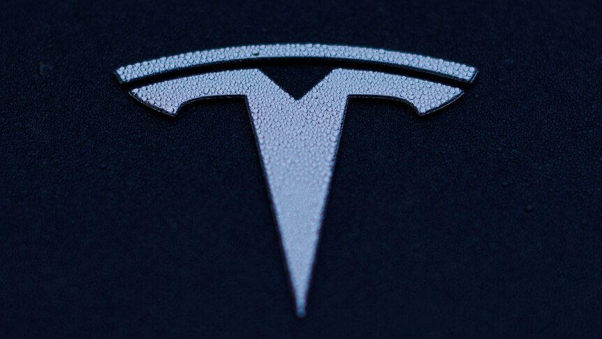 A close-up image of a Tesla logo on a Model 3 vehicle
