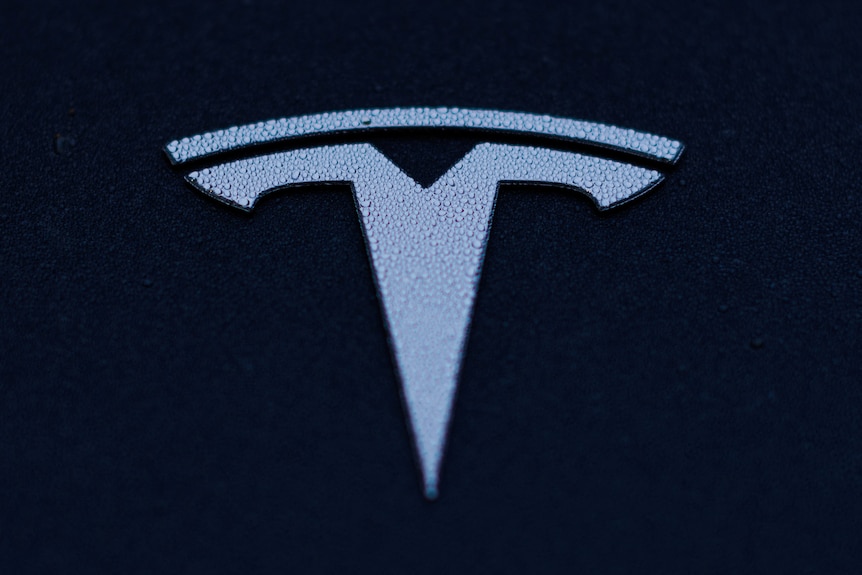A close-up image of a Tesla logo on a Model 3 vehicle