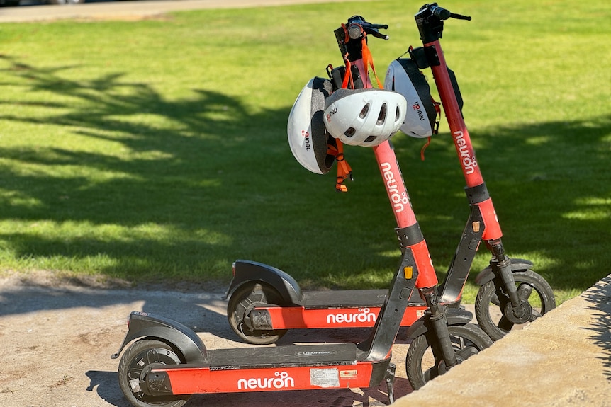 Orange Neuron E-scooters stand ready for use in a park in Busselton