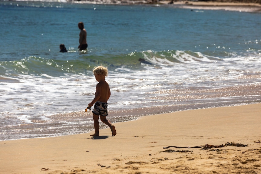 A small child walking into the ocean water on a sunny beach day 
